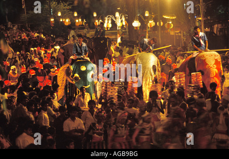 Sri Lanka Colombo, Elefanten am Peharera Festival Stockfoto