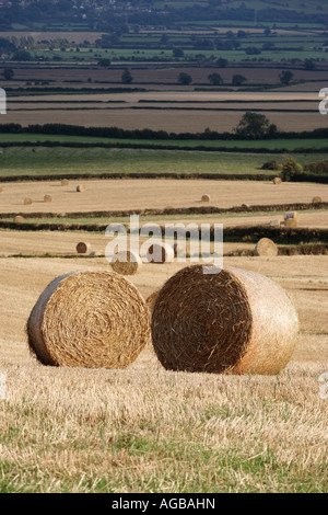 Strohballen auf einem Feld in der Nähe von Uppingham in Rutland Stockfoto