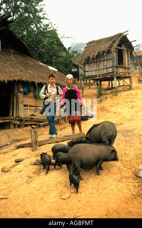 Laos, Luang Namtha, touristischen und Frau Hakha oder Akha Bergstämme, die Fütterung von Schweinen Stockfoto