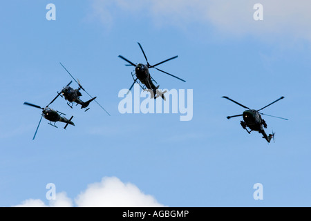 Britische Armee Westland WG-13 Lynx AH7 militärische Hubschrauber Blue Eagles anzeigen team Stockfoto