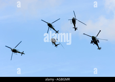 Britische Armee Westland WG-13 Lynx AH7 militärische Hubschrauber Blue Eagles anzeigen team Stockfoto