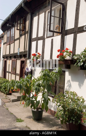 Traditionelle Fachwerkhäuser in Lidzbark Warminski Heilsberg, Ermland, Polen, mit Fensterblumen und einem Hund mit Blick auf den Himmel. Stockfoto