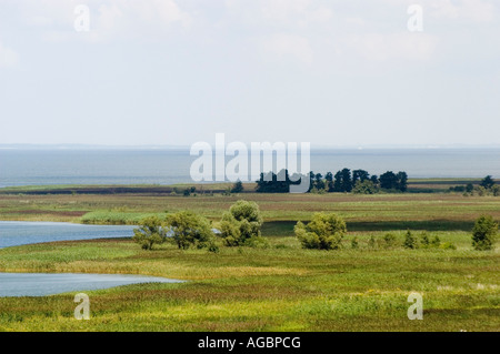 Aus der Vogelperspektive auf die Zalew Wislany Bank bei Frombork, Ermland, Polen, mit üppigen Feuchtgebieten, grünen Wiesen, und Küstenlandschaft. Stockfoto
