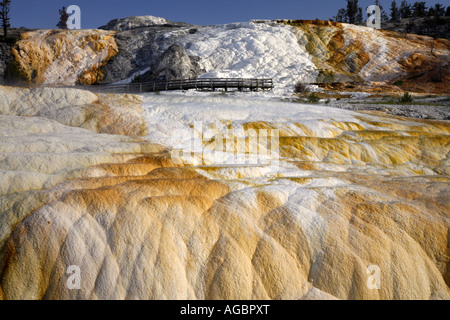 Die unteren Terrassen-Bereich von Mammoth Hot springs Wyoming Yellowstone-Nationalpark Stockfoto