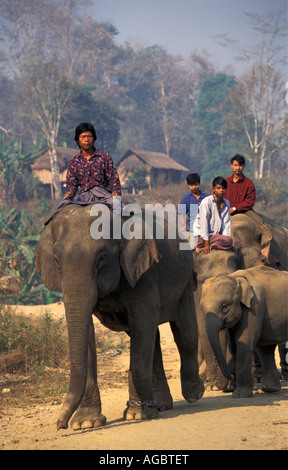 Myanmar, Bago Yoma Berge, Menschen, auf Elefanten reiten Stockfoto