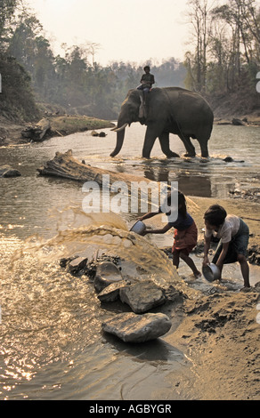 Myanmar, Bago Yoma Berge, Kinder spielen mit Elefanten im Hintergrund Stockfoto