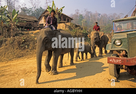 Myanmar, Bago Yoma Berge, Menschen, auf Elefanten reiten Stockfoto