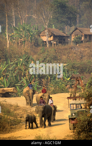 Myanmar, Bago Yoma Berge, Menschen, auf Elefanten reiten Stockfoto