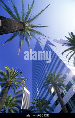 Palmen unter die Skyline der Innenstadt Los Angeles Civic Center Stockfoto