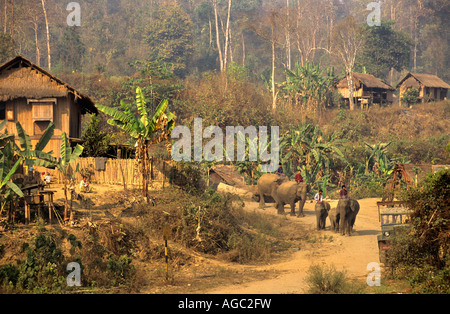 Myanmar, Bago Yoma Berge, Menschen, auf Elefanten reiten Stockfoto