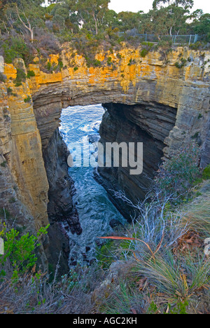 Die gewölbte Ozean Felsformation, bekannt als der Teufel s Küche auf der Tasman-Halbinsel bei Eaglehawk Neck in Tasmanien Stockfoto