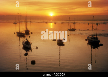 Yachten Cardiff Bay mit Wattwanderungen im Abstand vor Flut South Wales UK Stockfoto