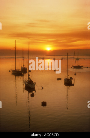 Yachten Cardiff Bay zeigt Watten in der Ferne vor Sperrfeuer South Wales UK Stockfoto