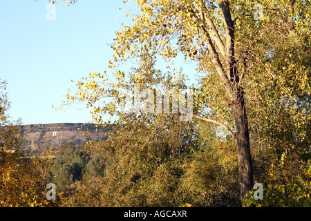 Tafelberg in Nord-Kalifornien in der Nähe von Oroville hinter Wald Bäume Stockfoto