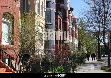 Bunte Sandsteinhäuser in Woodley Park Adams Morgan Gegend von Washington DC Stockfoto