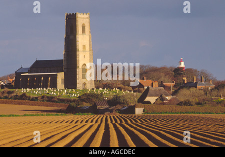 KARTOFFELN PFLANZEN IM FELD IN DER NÄHE VON ST. MARYS KIRCHE HAPPISBURGH NORFOLK EAST ANGLIA ENGLAND UK Stockfoto