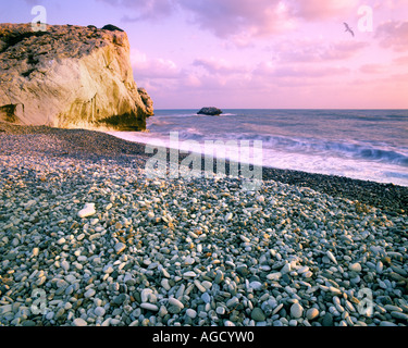 CY - PAPHOS: Rock von Romiou, dem Geburtsort der Aphrodite (Petra Tou Romiou) Stockfoto