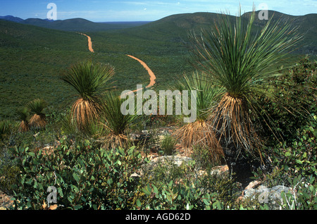 Australien Western Australia Stirling Range Nationalpark eine unbefestigte Straße windet sich durch die karge Landschaft des Parks Stockfoto