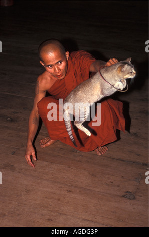 Myanmar, Inle-See, buddhistischer Mönch mit Katze springen Stockfoto