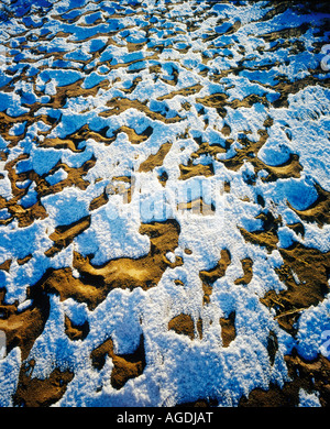 Frost Schnee bedeckten Boden Stockfoto