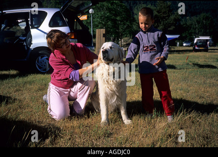 Bramans Massif du Mt Mont Cenis Alpen weiße Weide-Hund Stockfoto