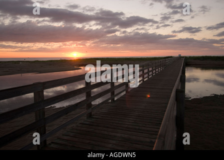 Stock Foto der Promenade über Salzwasser Marsh und Dünen im Kouchibouguac National Park in Kanada Stockfoto