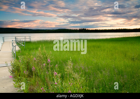 Deadman See Tetlin National Wildlife Refuge Alaska Stockfoto