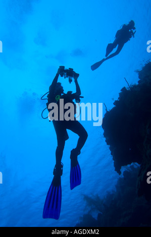 Ein weiblicher Taucher fotografieren eine andere Taucher auf ein Riff im Little Cayman Stockfoto