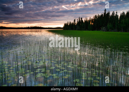 Deadman See Tetlin National Wildlife Refuge Alaska Stockfoto