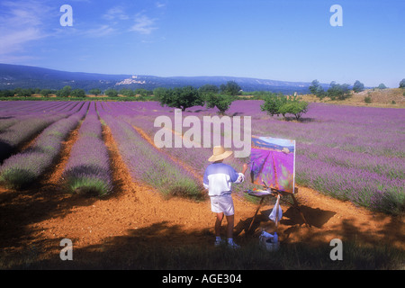 Künstlerin-Malerei-Feld von Lavendel in der Provence Stockfoto