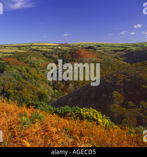 Herbst Blick über Heddon Tal mit braunen Bracken auf Exmoor National Park North Devon England Stockfoto