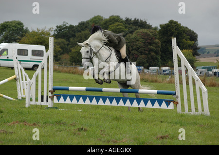 Highland Pony-Springreiter Stockfoto