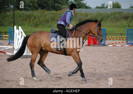 Galoppierenden Pferd Aufwärmen für Springreiten Stockfoto