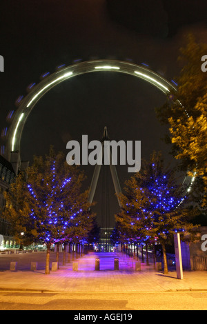 Das British Airways London Eye Riesenrad am Nordufer der Themse bei Nacht durch eine Allee von Bäumen angesehen Stockfoto