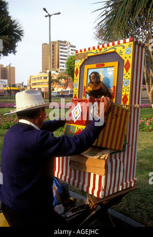 Fortune Teller, Parque Central, Miraflores District, Lima, Provinz Lima, Peru Stockfoto