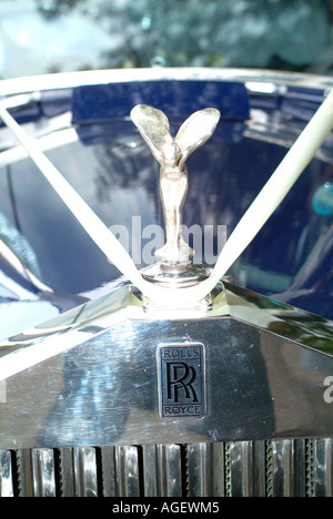 Motorhaube und Kühlergrill des blauen Rolls-Royce Auto dekoriert mit Band für eine Hochzeit in Northumberland Stockfoto