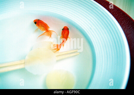 Goldfische in Schüssel Stockfoto