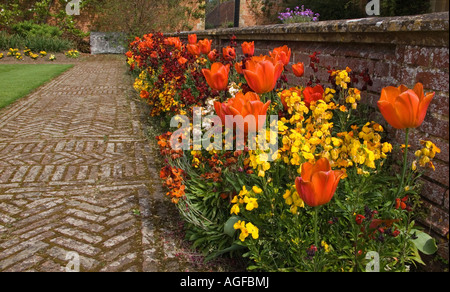 Frühling Grenze, Somerset, England, UK Stockfoto