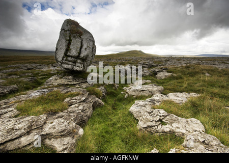 Eiszeitlichen Findling auf Skalen Moor mit einer Kulisse aus Whernside, Ribblesdale, Yorkshire Dales, UK Stockfoto