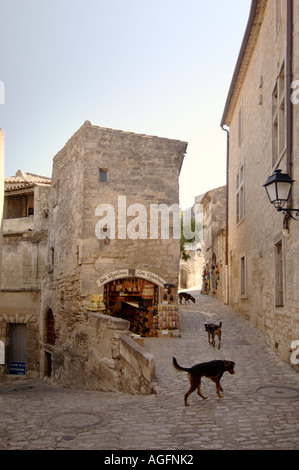 Streunende Hunde laufen durch die engen, gepflasterten Gassen von Baux de Provence, Frankreich Stockfoto