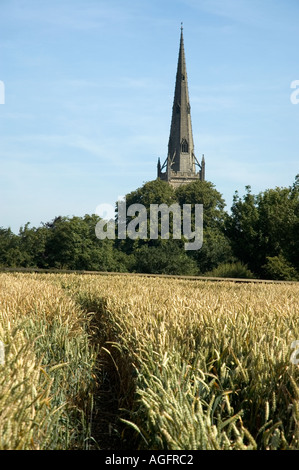 Pfarrkirche Thaxted Essex England Stockfoto