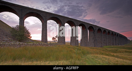 Das Ribblehead-Viadukt überspannt das Moorgebiet, bekannt als Batty Moss, Horton in Ribblesdale, Yorkshire Dales, UK Stockfoto