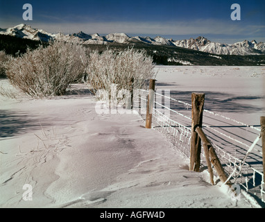 Winterlichen Morgen im Sägezahn National Recreation Gebiet Idaho drapieren Schneezäune und Bäume mit strahlend blauem Himmel Stockfoto