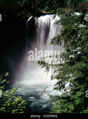 Koosah fällt auf McKenzie River in den Willamette National Forest in Oregon Stockfoto