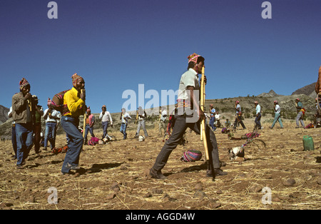 Bolivien, Toro Toro, Gruppe von Männern, die Panflöte spielen Stockfoto