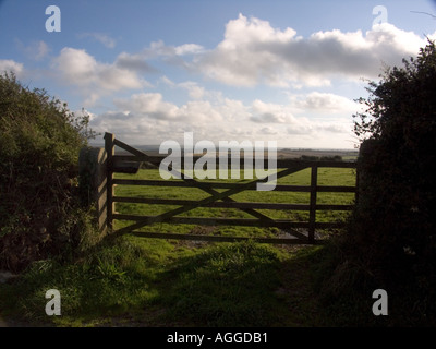 Country-Szene, aus Holz 5 bar-Hof, in der Nähe von Port Isaac, North Cornwall, England, Vereinigtes Königreich, eine Lücke in der Hecke Stockfoto