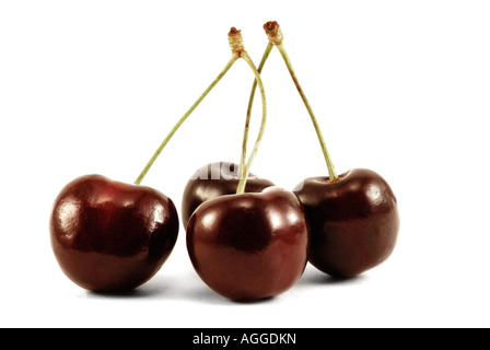 Four sweet cherries are photographed on a white background Stockfoto
