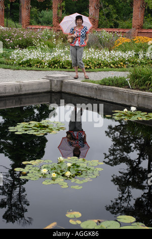 Seerosen im Teich mit Reflexion der asiatischen Frau mit Regenschirm Stockfoto