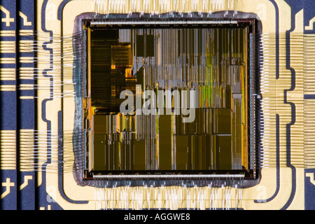 Eine Nahaufnahme von einem Intel Pentium-Prozessor von einem PC mit den mikroskopischen Details des Chips, Stockfoto