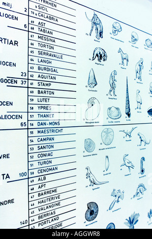 Karte von verschiedenen prähistorischen Arten Stockfoto